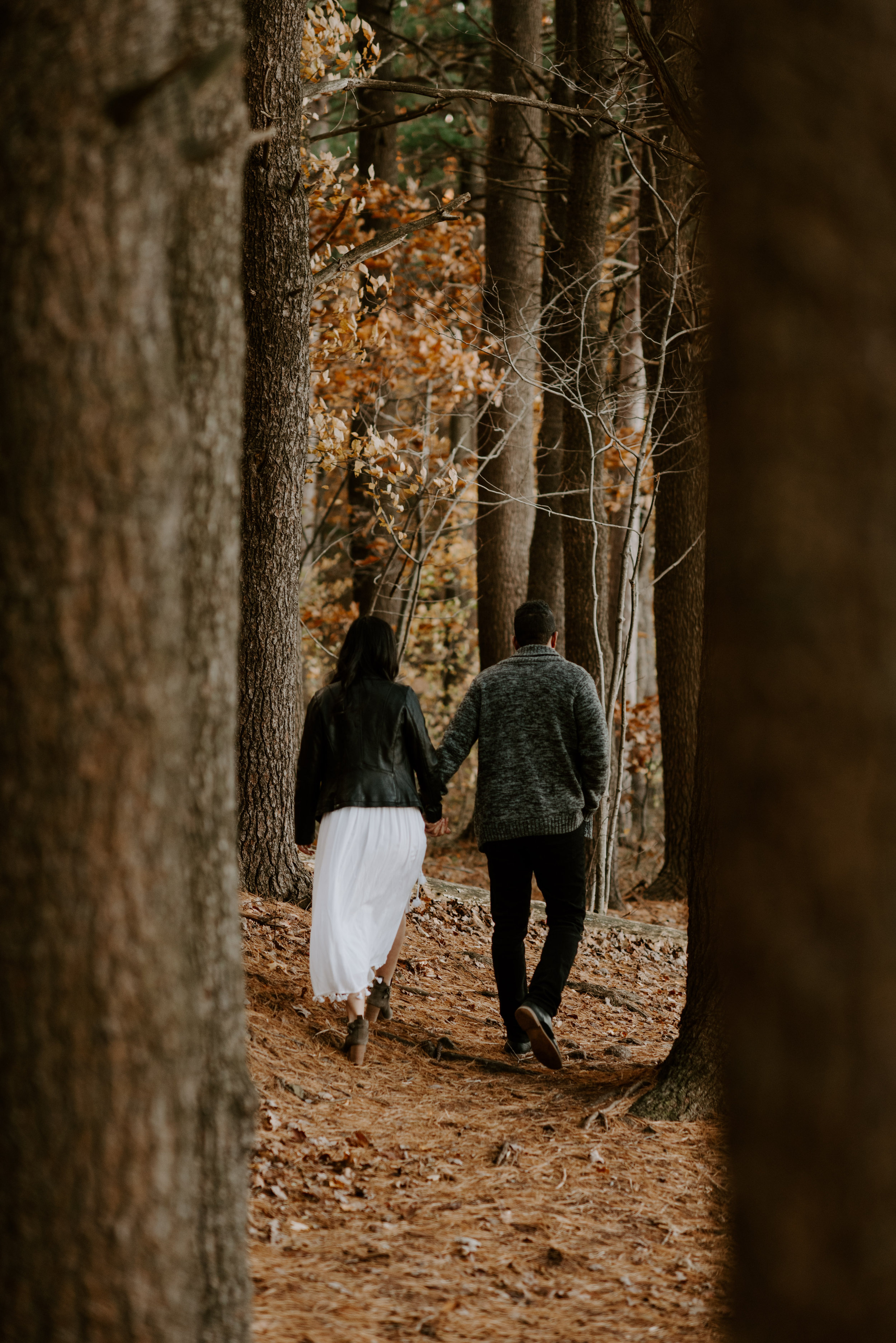 boston fall foliage engagement session at middlesex fells | boston wedding photographer