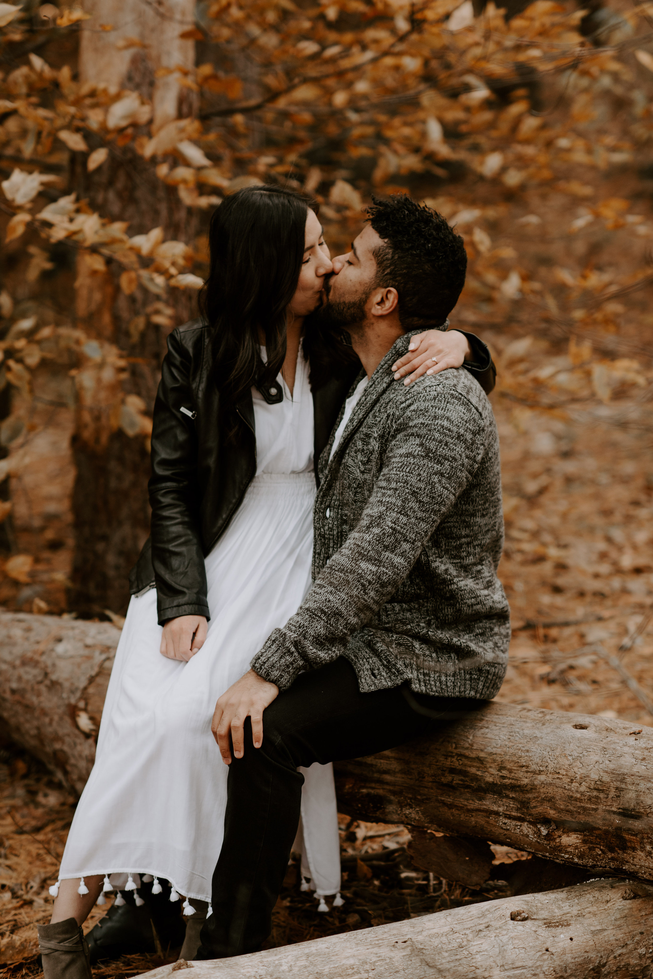 boston fall foliage engagement session at middlesex fells | boston wedding photographer