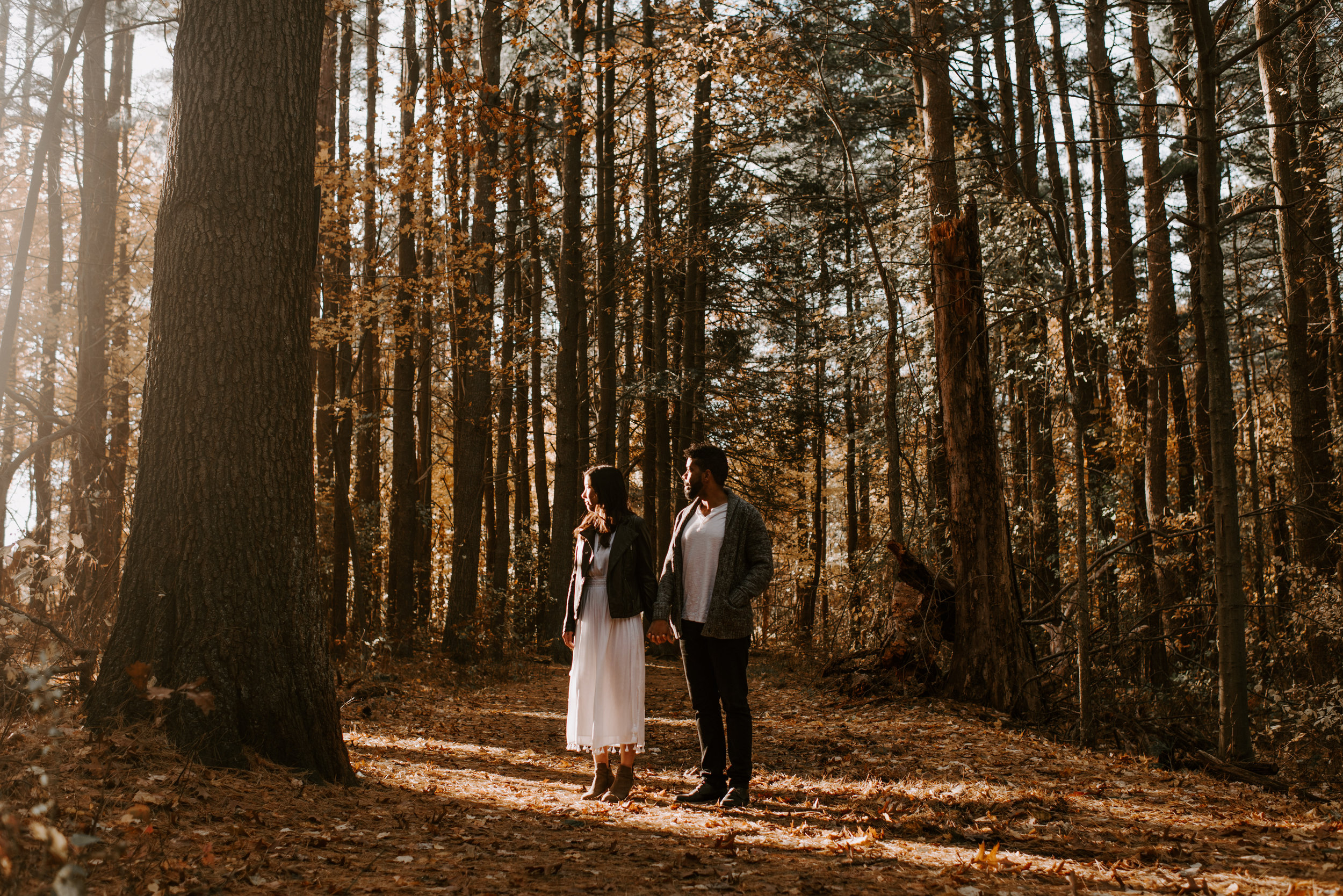 boston fall foliage engagement session at middlesex fells | boston wedding photographer