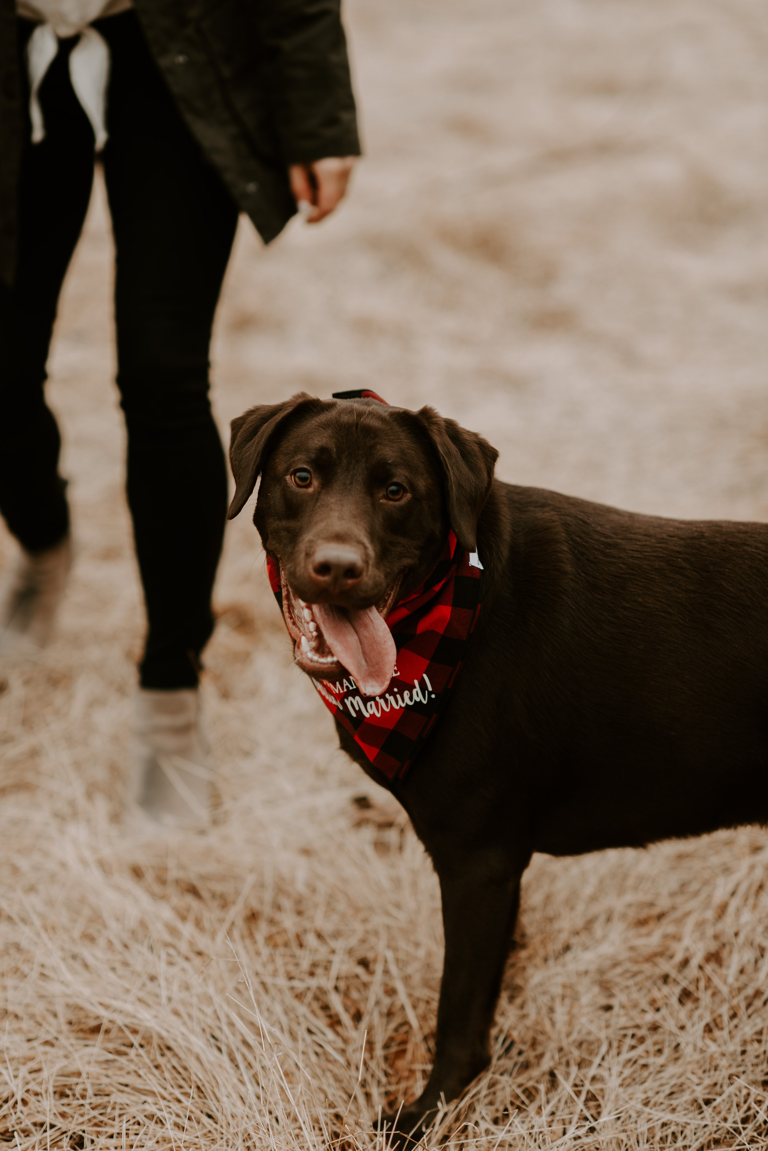 Valley Forge National Park Adventure Engagement Session | Boston Wedding Photographer