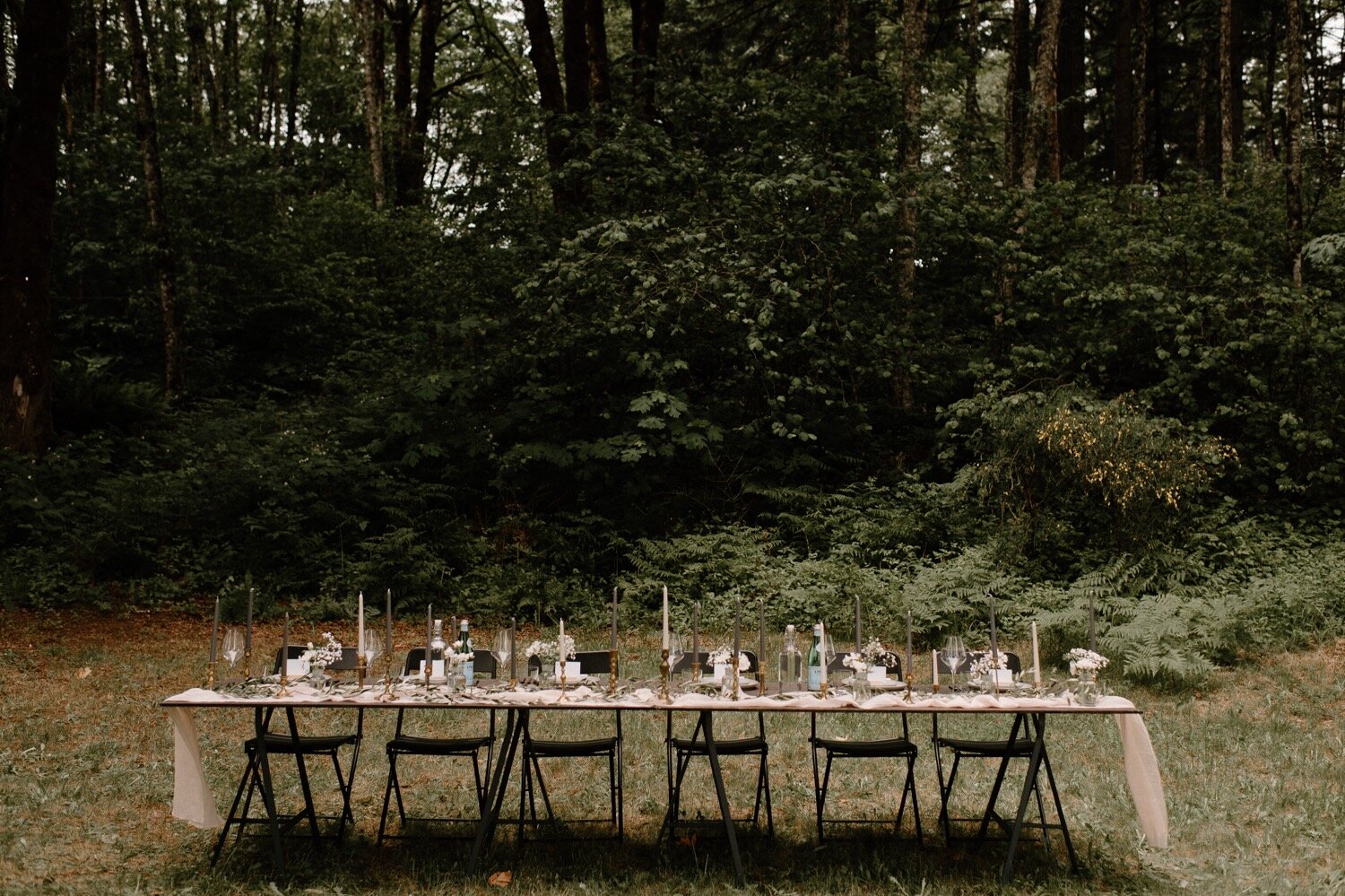 Kirané and Bryan's Washington Campground Wedding with Socially Distant Picnic Reception + DIY Details