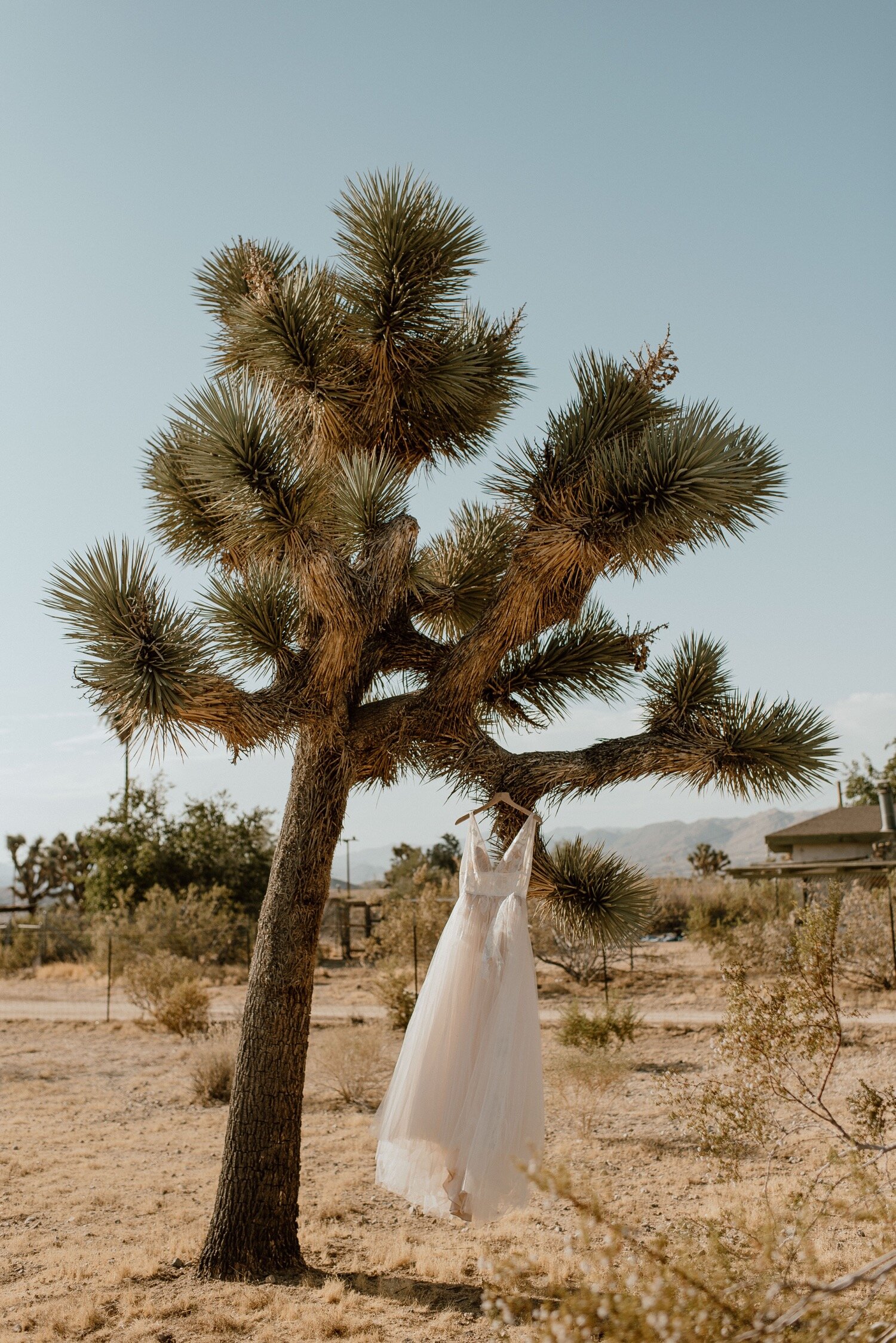 Hannah and Justin's Boho Joshua Tree National Park Elopement | PNW Wedding Photographer