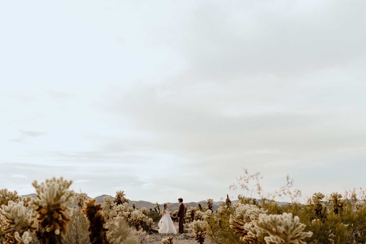 Hannah and Justin's Boho Joshua Tree National Park Elopement | PNW Wedding Photographer