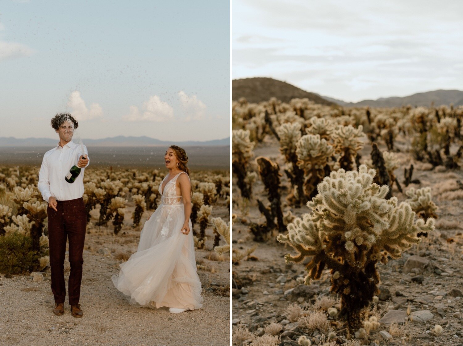 Hannah and Justin's Boho Joshua Tree National Park Elopement | PNW Wedding Photographer