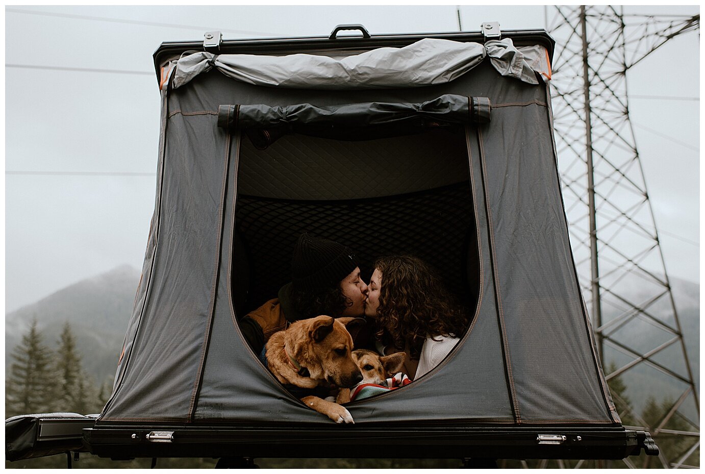 engaged couple in a tent with their dogs