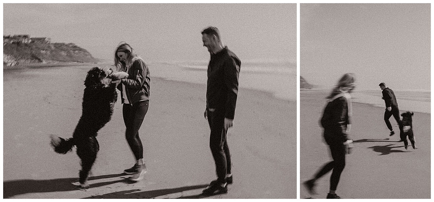 beach engagement session with dog