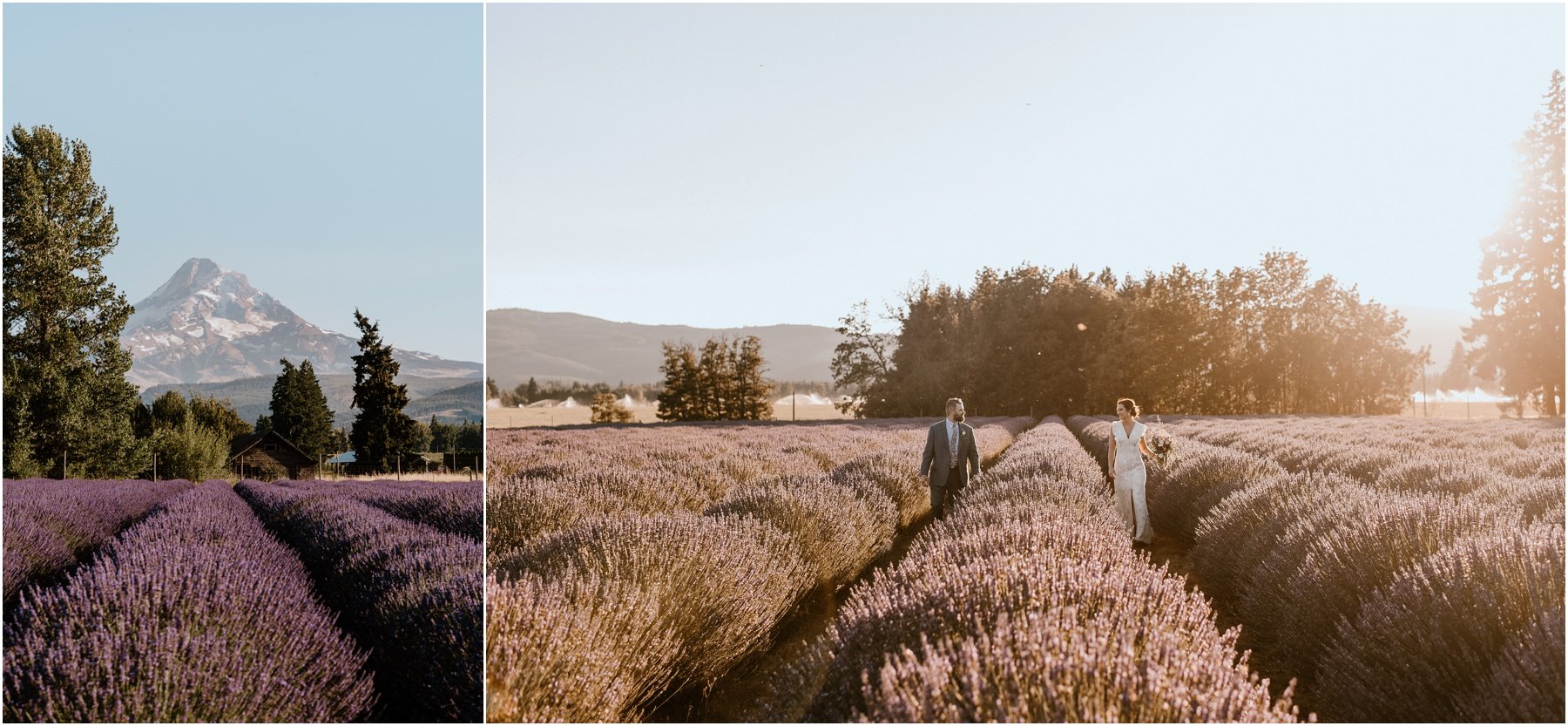 elopement at rowena crest - madeline rose - mt hood elopement photographer_0051.jpg