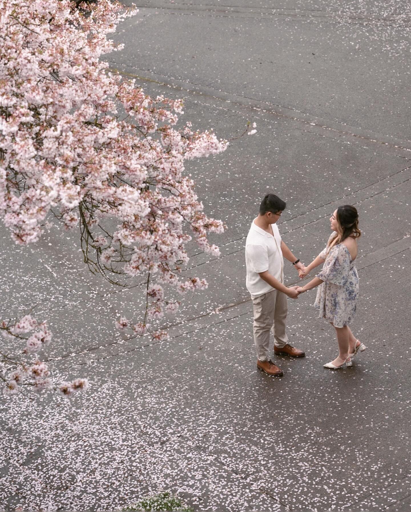 A sunrise cherry blossom picnic for L+N this week 🌸✨💕

#oregonengagementphotographer #oregonweddingphotographer #portlandcherryblossoms #pdxcherryblossoms #portlandengagementphotographer #pdxengagementphotographer #marriedwithmads #madelinerosephot