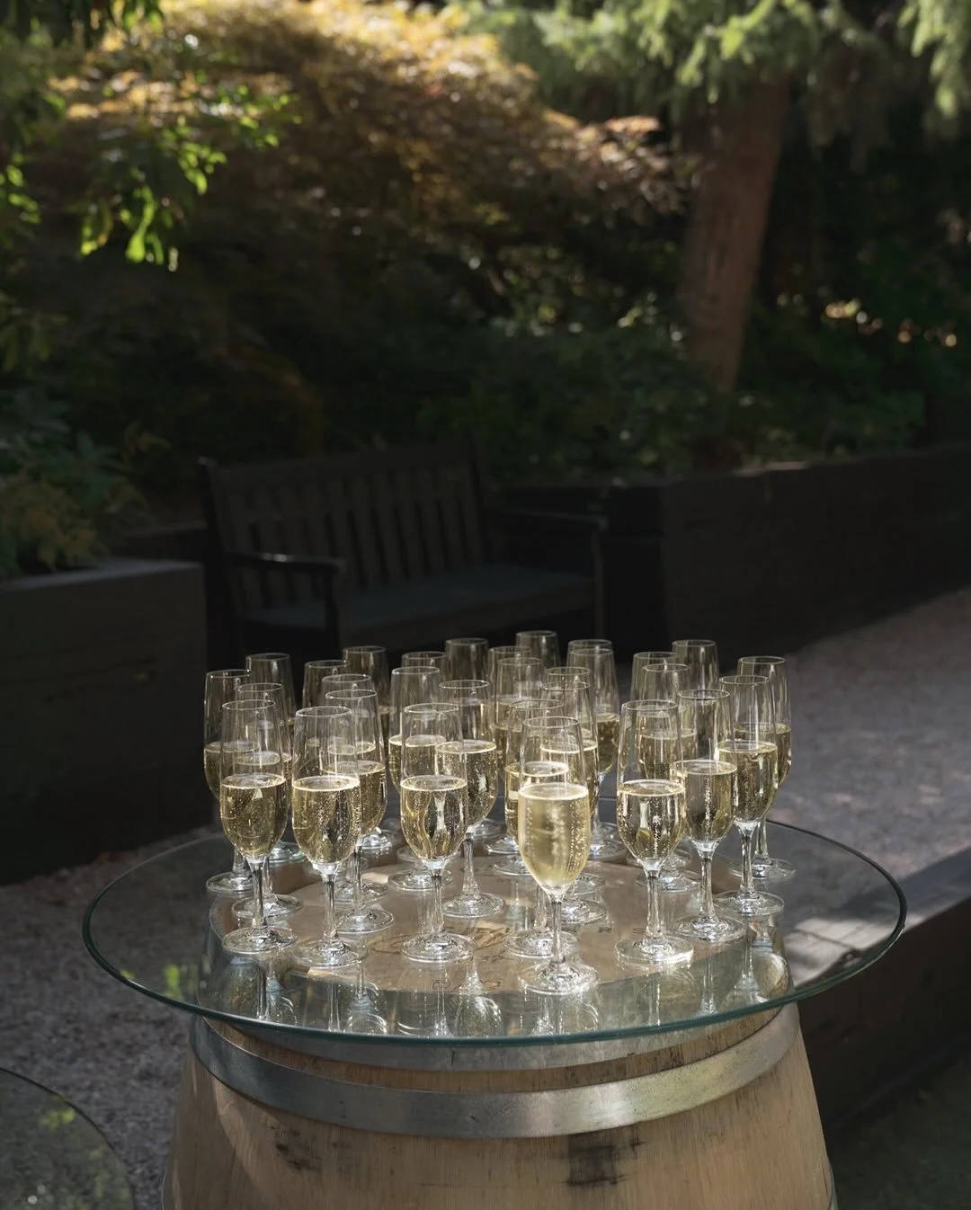 A few ceremony, family, and wedding party moments from Julia and Lorenzo&rsquo;s garden winery wedding 🍷 🍇 

Venue: @jmcellars
Florist: @honeywaterflowers
H&amp;M: @ambeautybridal
Planner: @bridalblissnw
Dress: @madilanebridal @aandbe_seattle
Groom