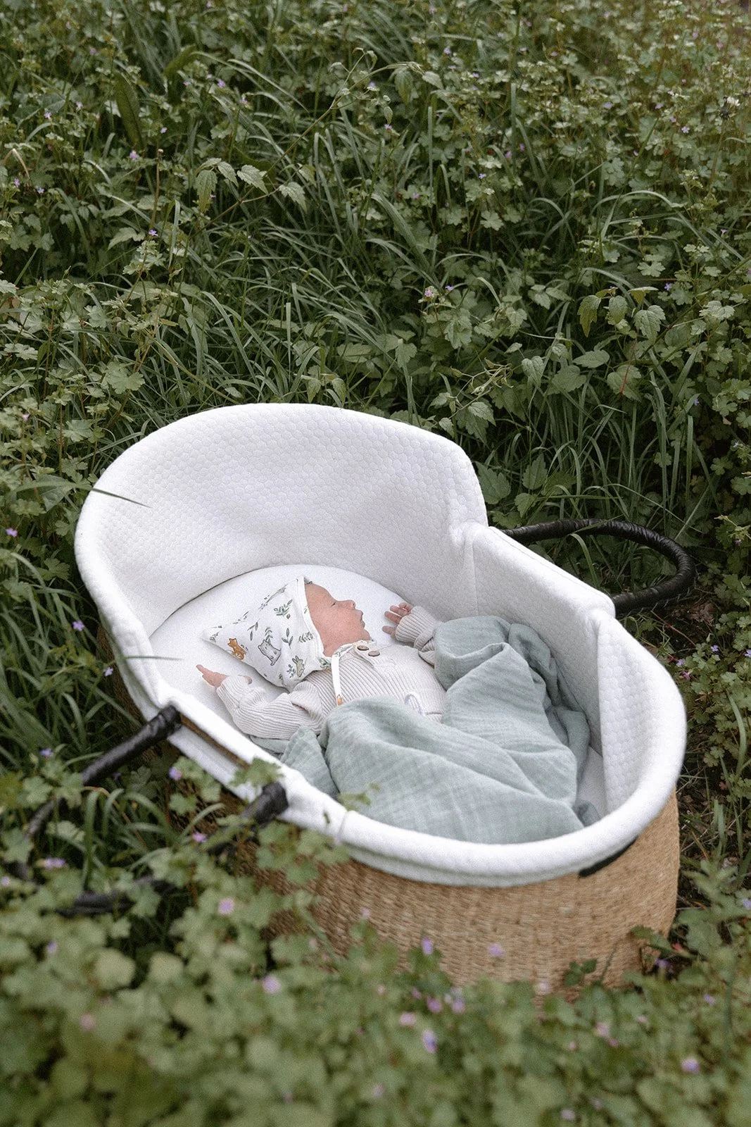 Backyard Cottagecore Newborn Session