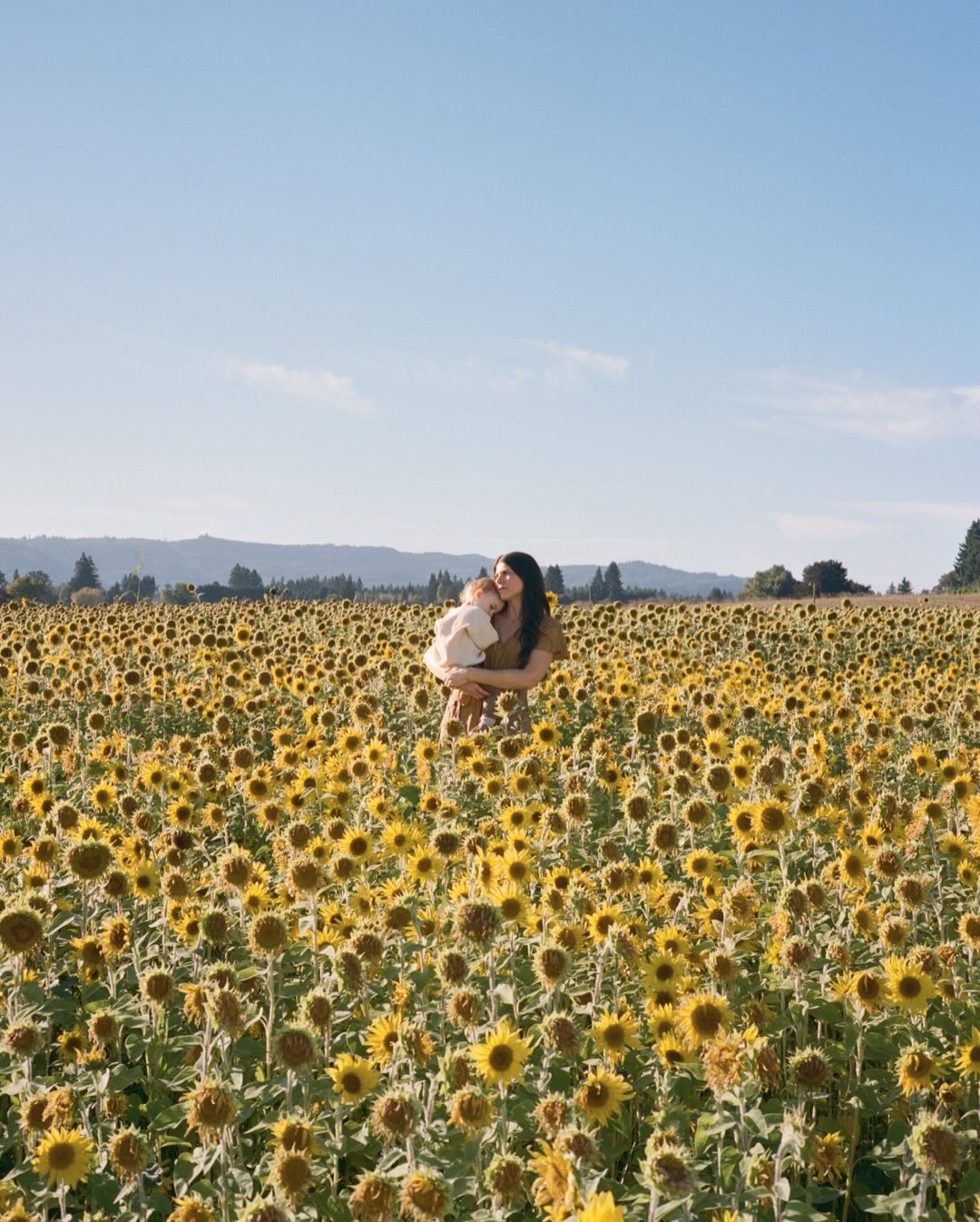 While we&rsquo;re in the newborn haze over here I&rsquo;d thought I&rsquo;d start sharing some more of my film family sessions 🌻 

I also worked really hard to get the new families section of my website done before little guy joined us, so I need to
