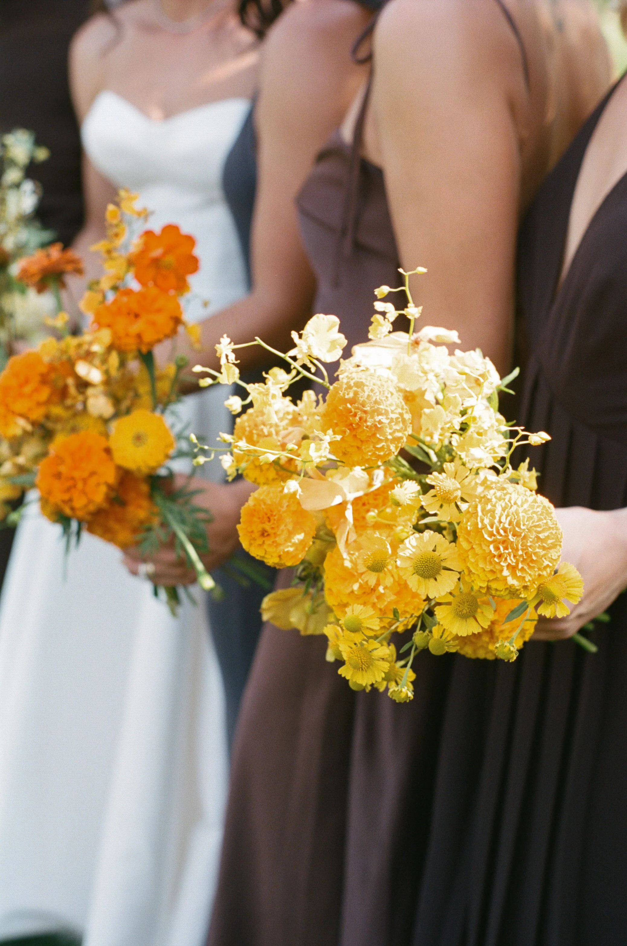  Film photograph of vibrant wedding florals with marigolds and greenery by Brier and Ivy and chocolate brown bridesmaids dresses 
