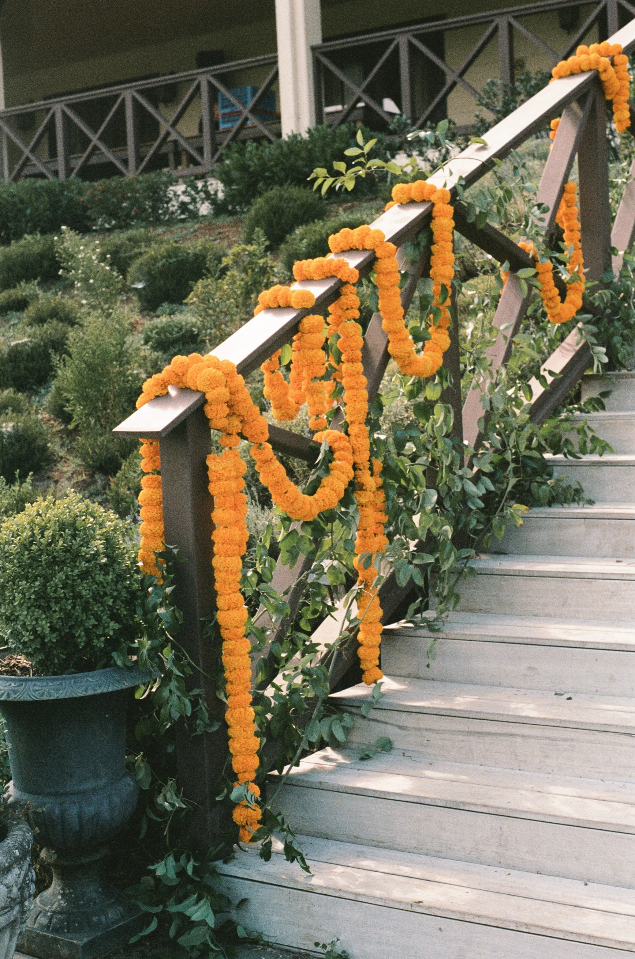  Film photograph of vibrant wedding florals with marigolds and greenery by Brier and Ivy 