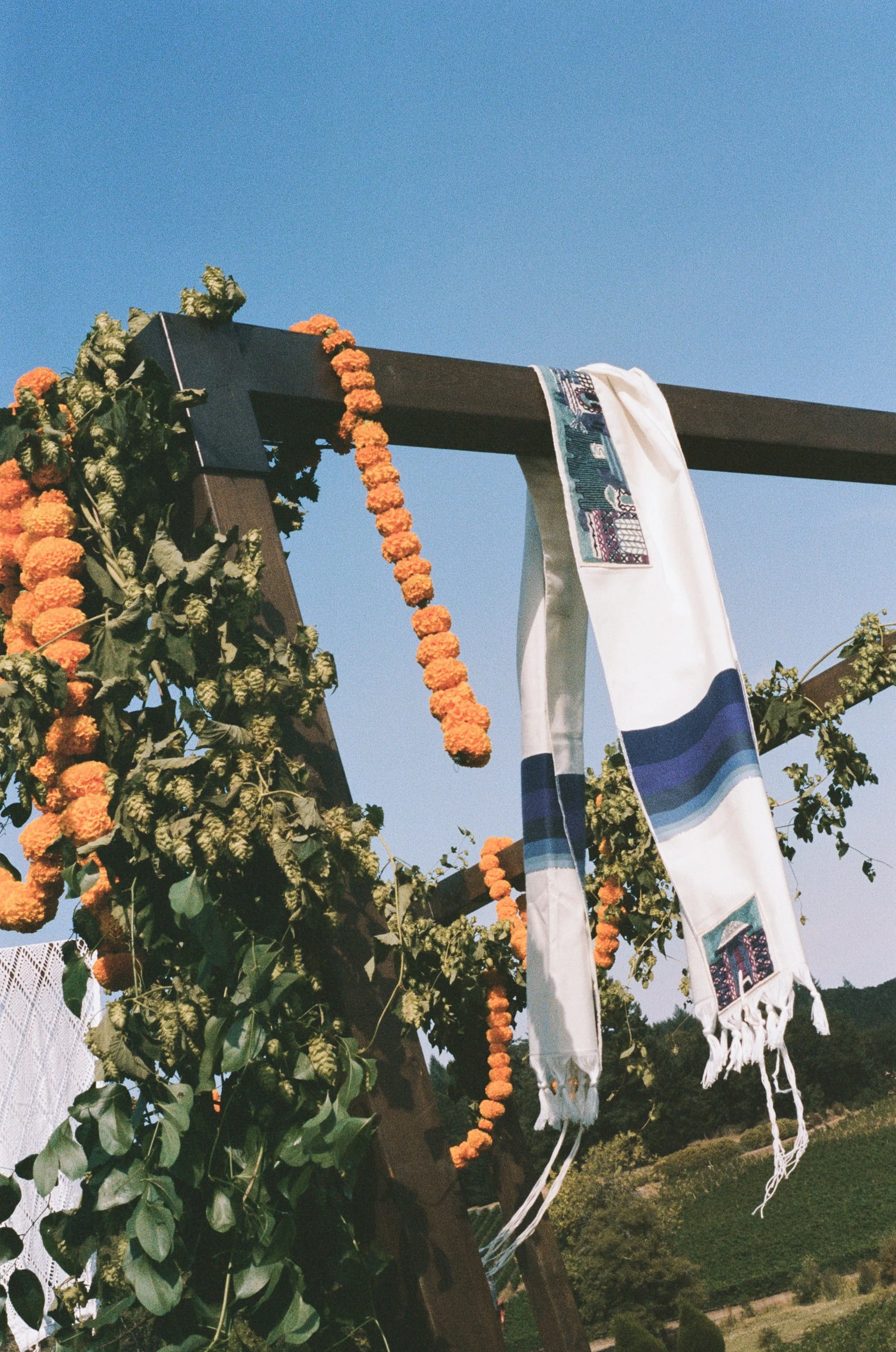  Film photograph of marigold chuppah with lush orange and green florals at Oregon vineyard wedding 
