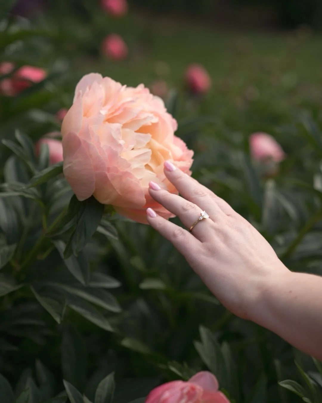 Sneak peeks from my first engagement session back from maternity leave 🌸💕 this sunrise session with Charlotte and Narelle was so sweet as we talked about their wedding next (!!!) month and soaked in the beauty of a gentle PNW spring. It&rsquo;s so 