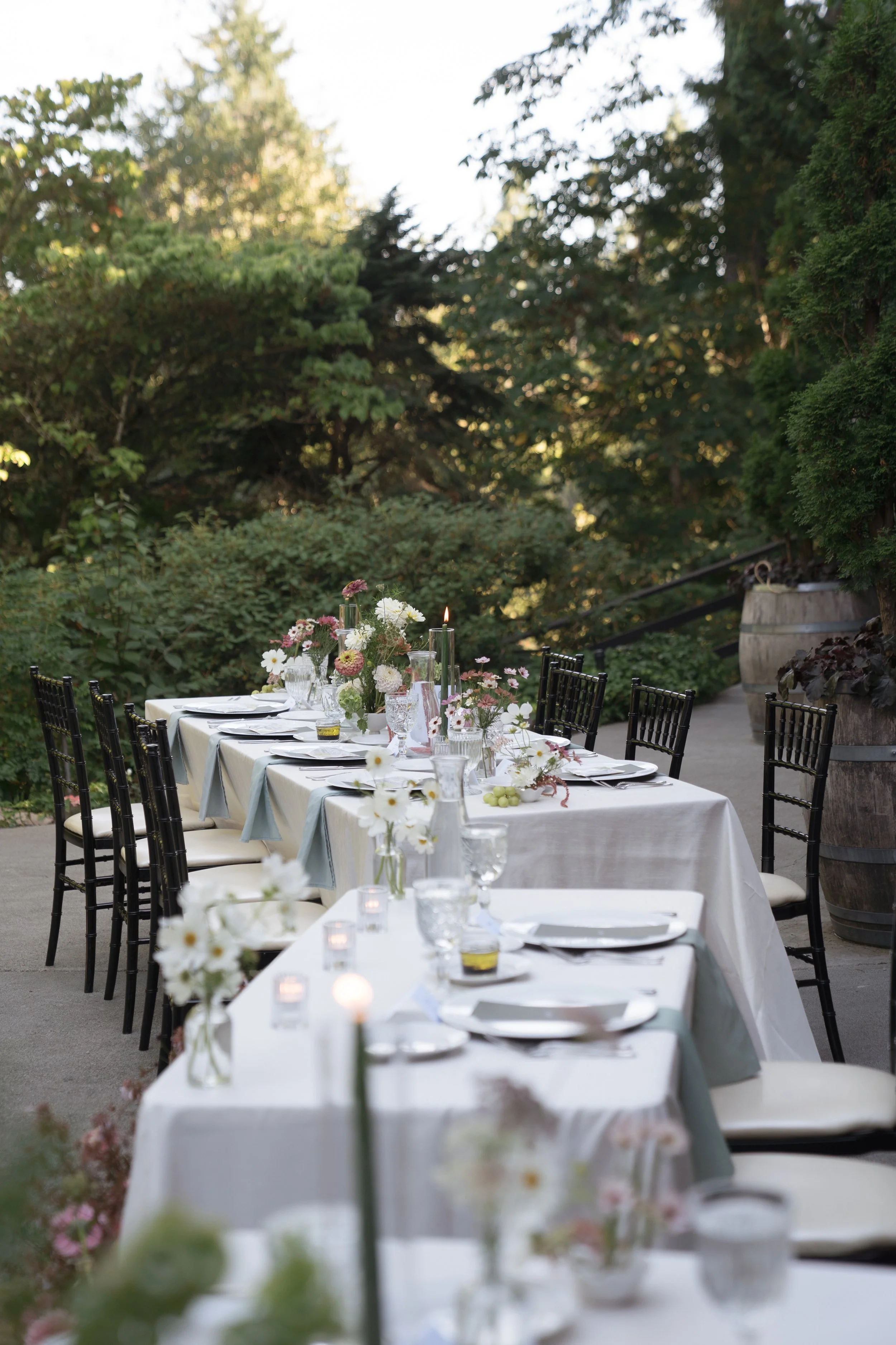  Long table wedding reception at JM Cellars creating an intimate outdoor dinner party atmosphere under the trees 