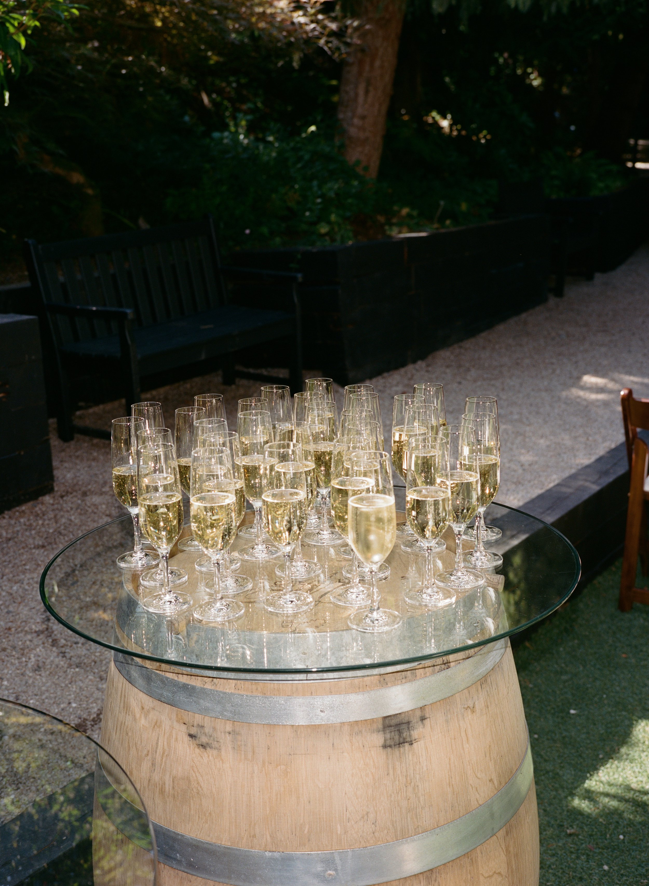  Luxury garden wedding at JM Cellars with organic greenery, romantic details, and editorial wedding photography. Film wedding photos. 
