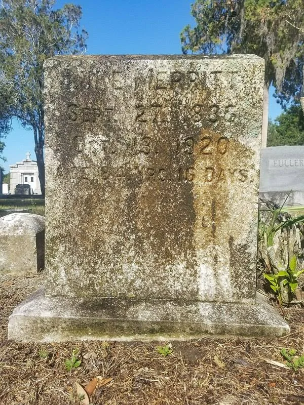 The Good Cemeterian, 2018