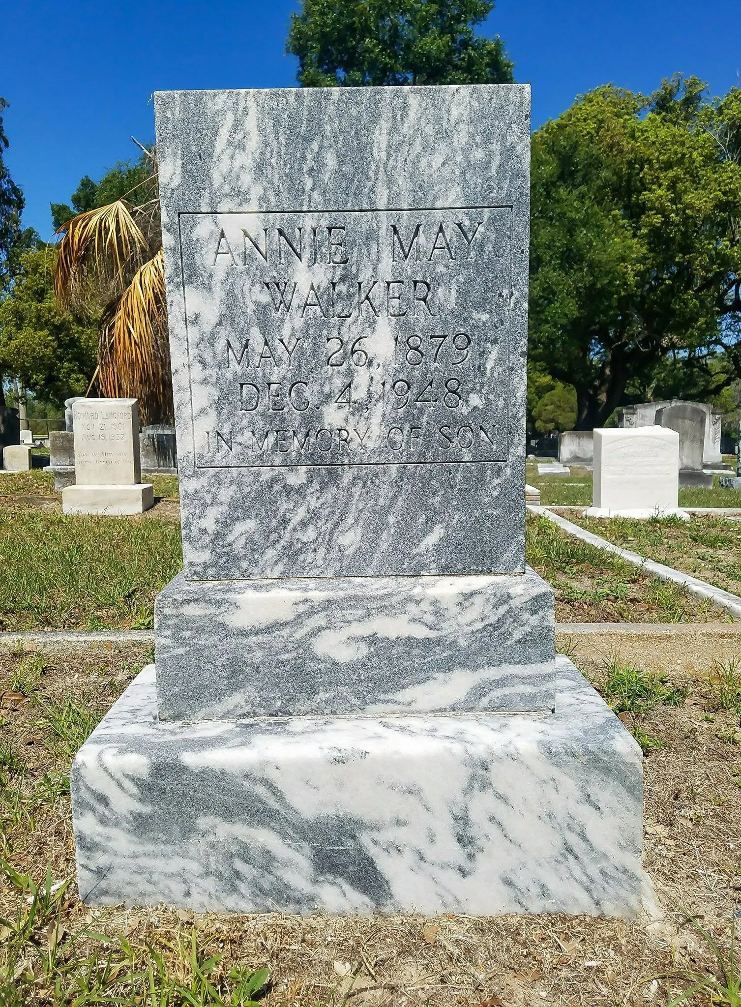 The Good Cemeterian, 2018