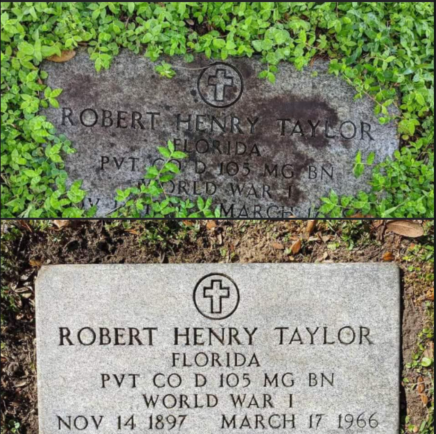 Robert Henry Taylor
