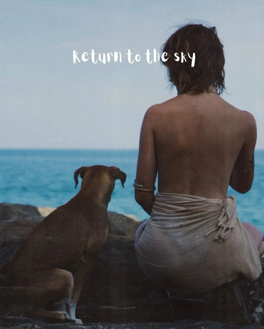 ✍🏼 An extract from the last issue of Hi Horizon for this year, which is both a love letter to the night sky and a big middle finger to those getting us hooked on our screens to make yet more money.

For the next month, I will be challenging myself t