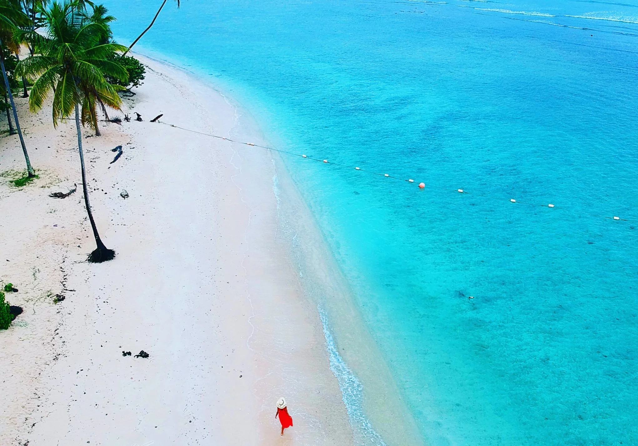 livingwiththetravelbug.com Thinking about buying a drone? Read this first. 