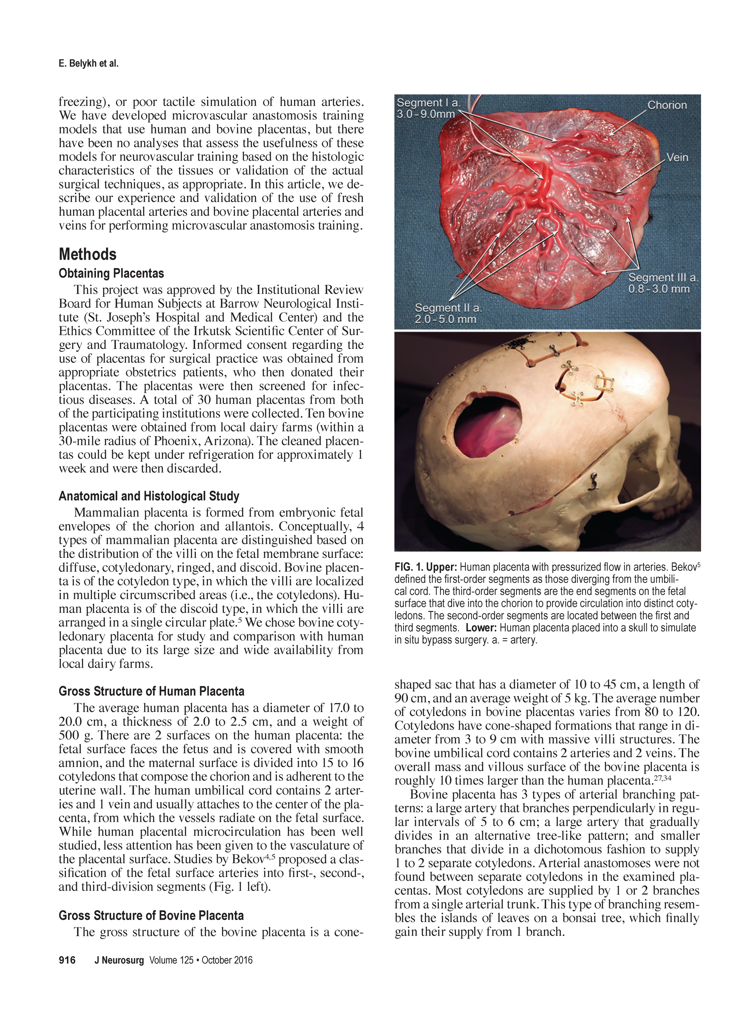 Low-flow and validation study_Page_02.png