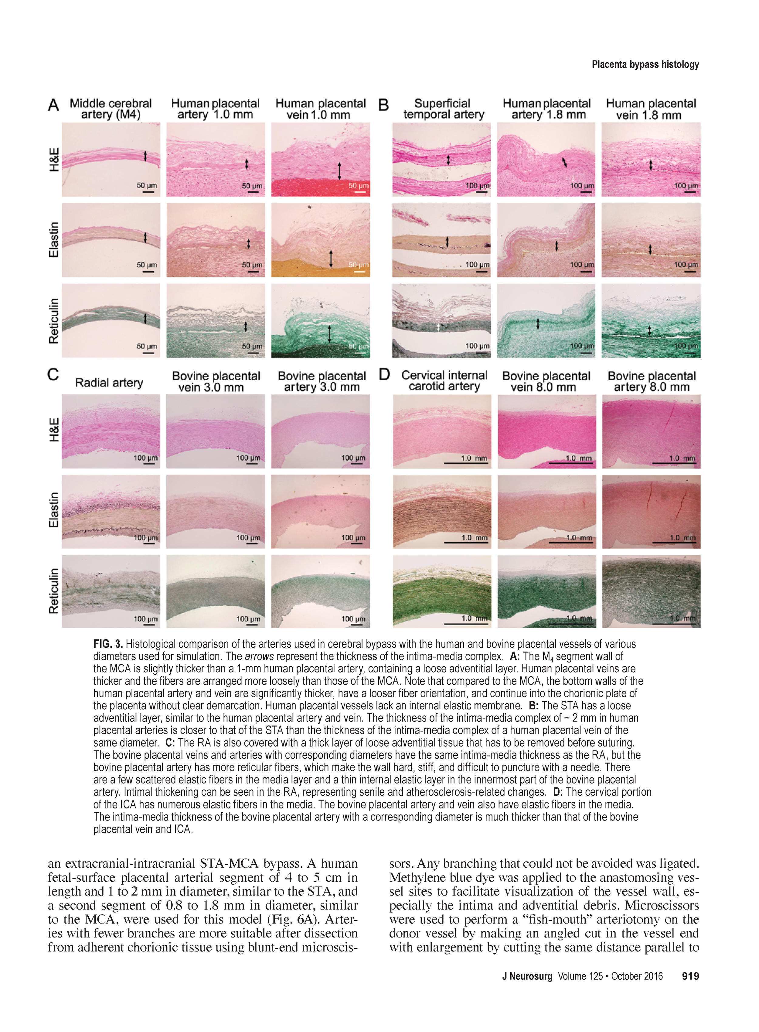 Low-flow and validation study_Page_05.png