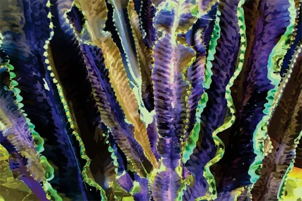 wierd_cactus-organ_pipe_1.jpg