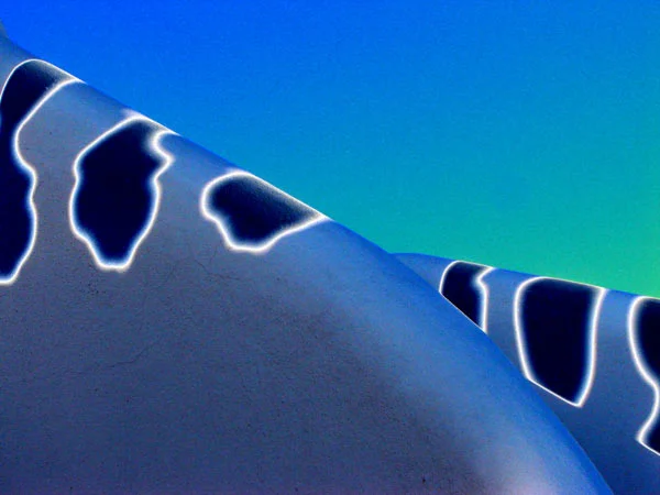 shadow_play-encanto_wall_2.jpg