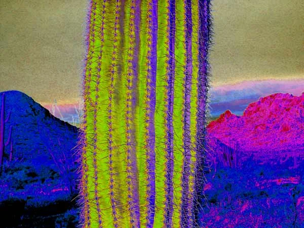 desert_vortex-so_how_are_you.jpg