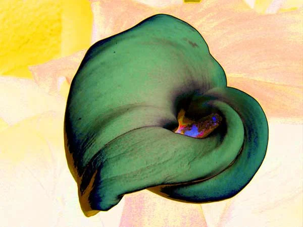 flower_arrangement_palm-springs_3.jpg