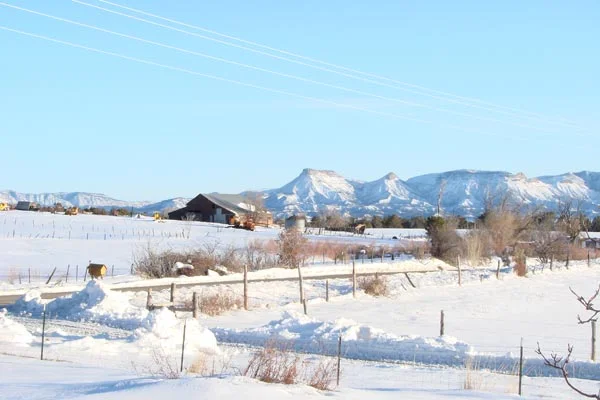 four_corners-mesa_verde_in_snow.jpg