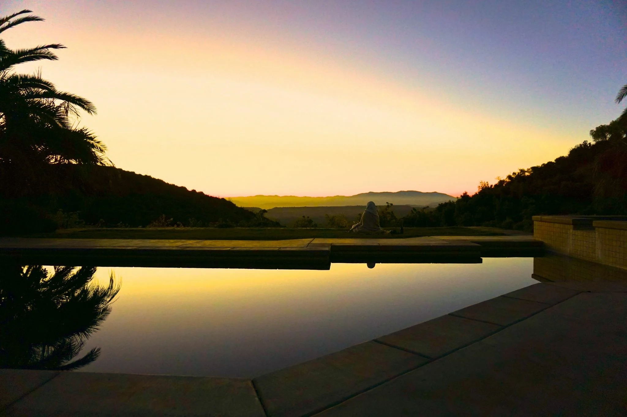 Journey to find your Power Animal