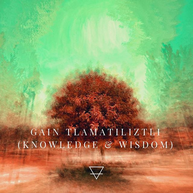 How to gain Tlamatiliztli (knowledge &amp; wisdom):⠀
⠀
The Aztecs conceived of wisdom in terms of balance. Their definition of knowledge/wisdom was being well-rooted, authentic, and true. Your intellect, emotions, physical disposition and behavior sh