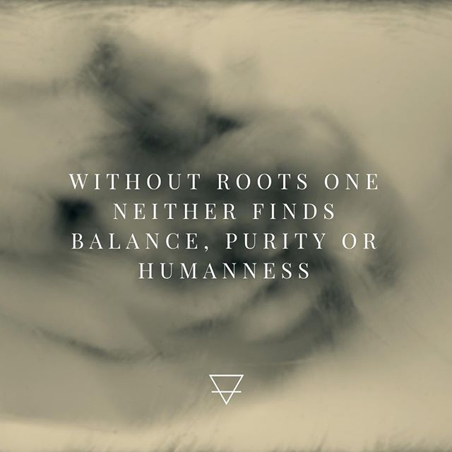 Well-Rootedness⠀
⠀
Without roots one neither finds balance, purity or humanness. Being well rooted in the Teotl means being authentic, understanding the wisdom of the ancestors, honoring the earth, and standing in your truth.⠀
⠀
The way of the Teotl⠀