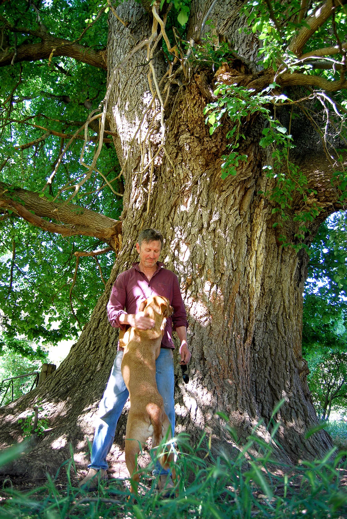 DSC_0129-a.jpg