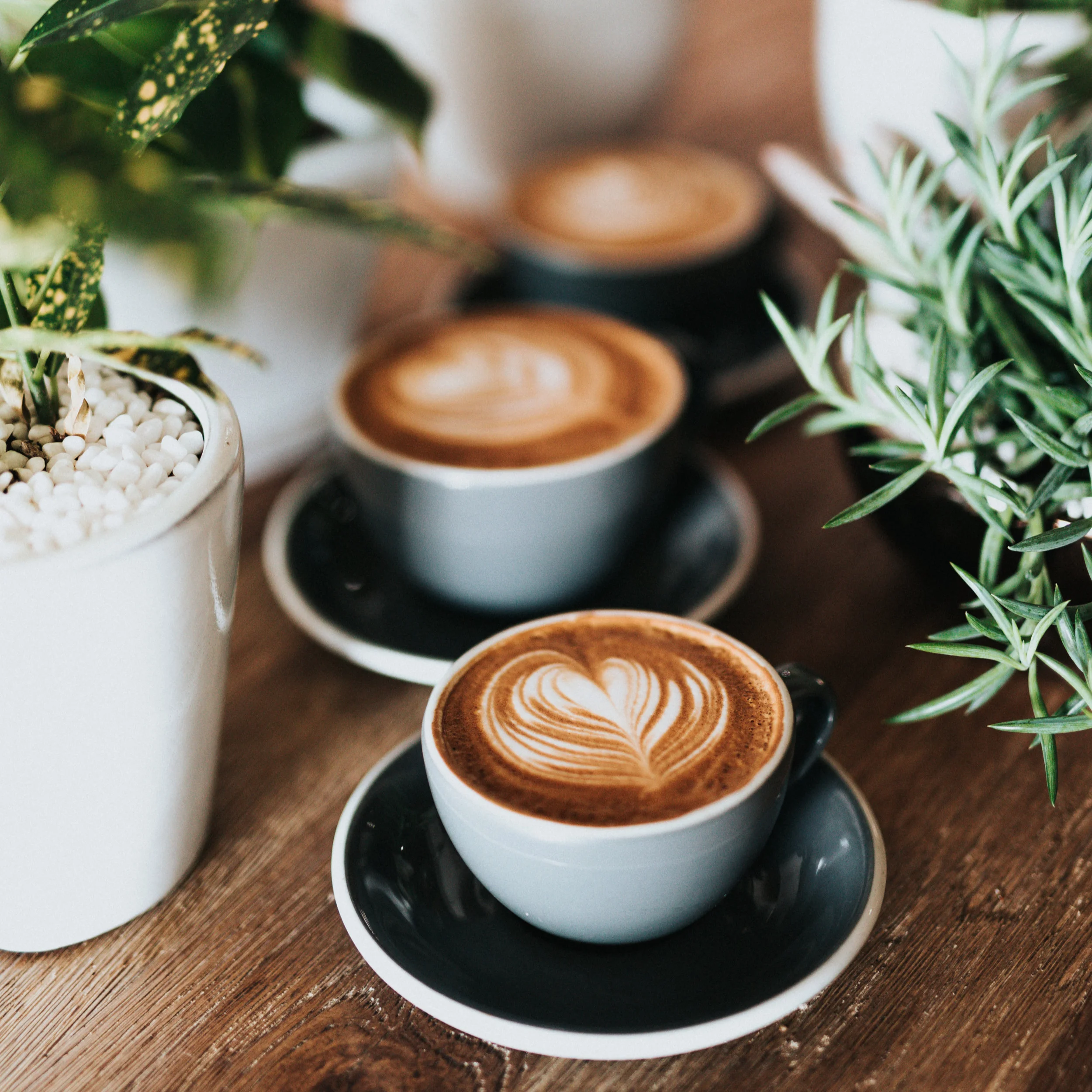 Coffee with Logan at Pruf Cafe