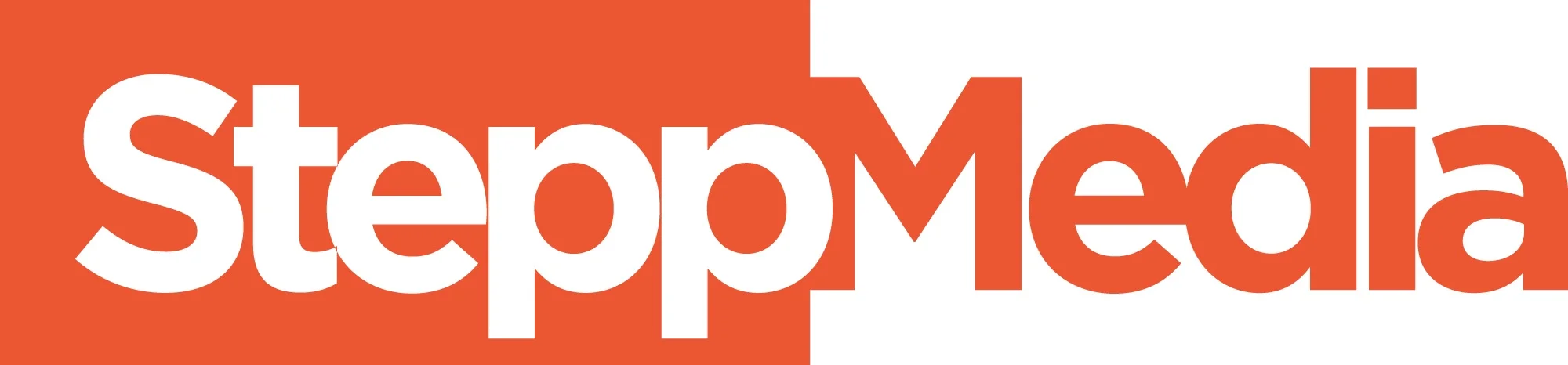 STEPPMEDIA-LOGO-COLOUR-FIRE-CARROT.jpg