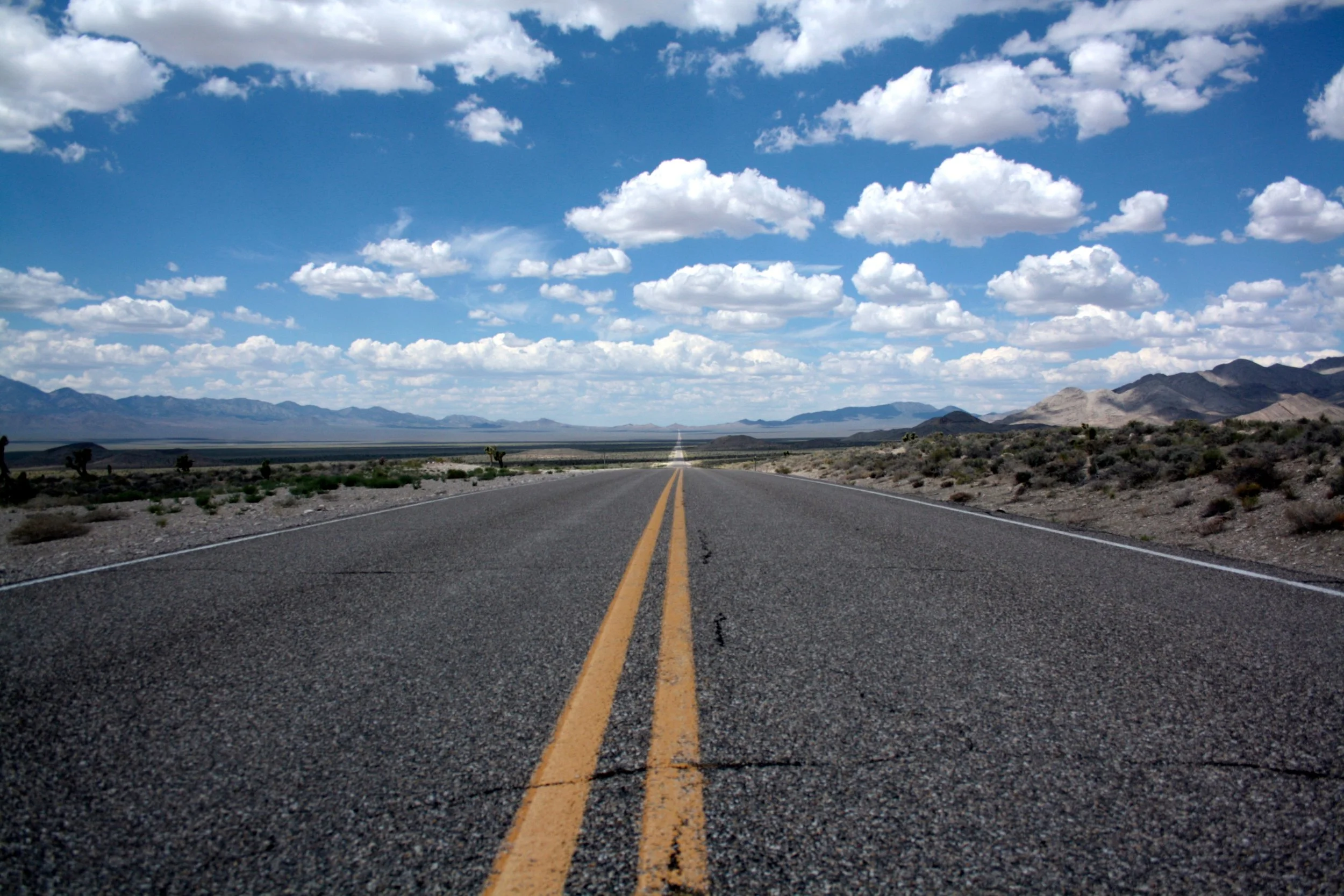 road large.jpeg