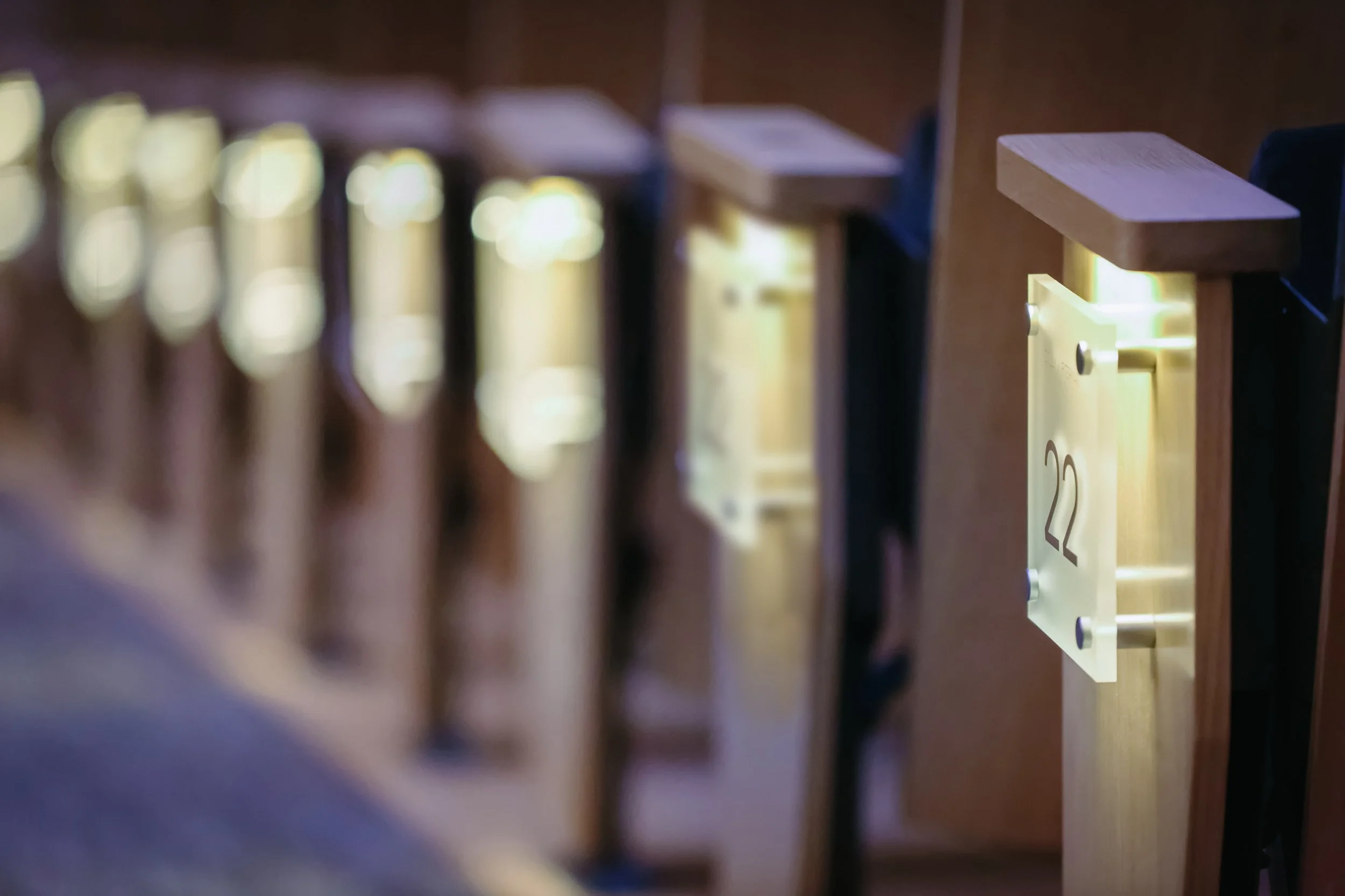 Orchestra Hall Seats_ILLUM.jpg