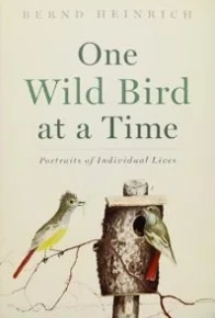 One Wild Bird at a Time!