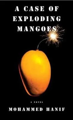 A Case of Exploding Mangoes by Mohammad Hanif