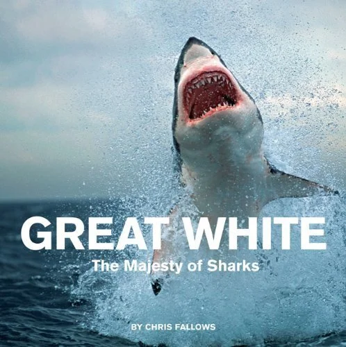 Great White: The Majesty of Sharks by Chris Fallows