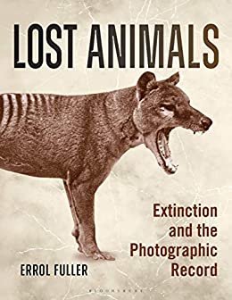 lost animals.jpg