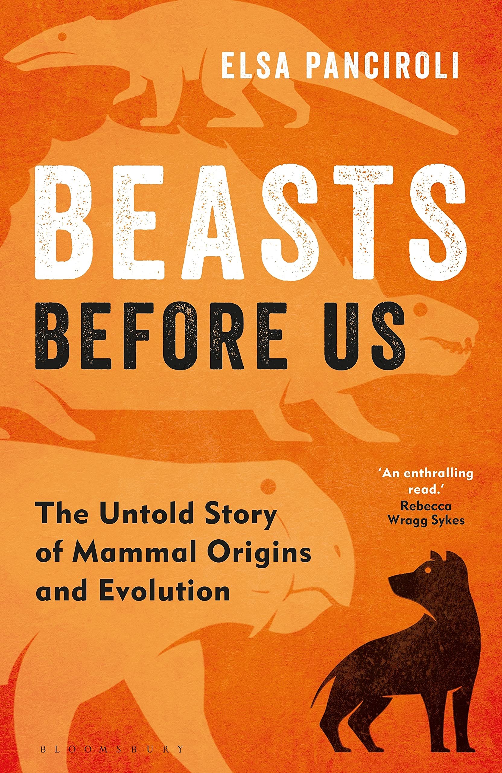 Beasts Before Us The Untold Story of Mammal Origins and Evolution by Elsa Panciroli.jpg