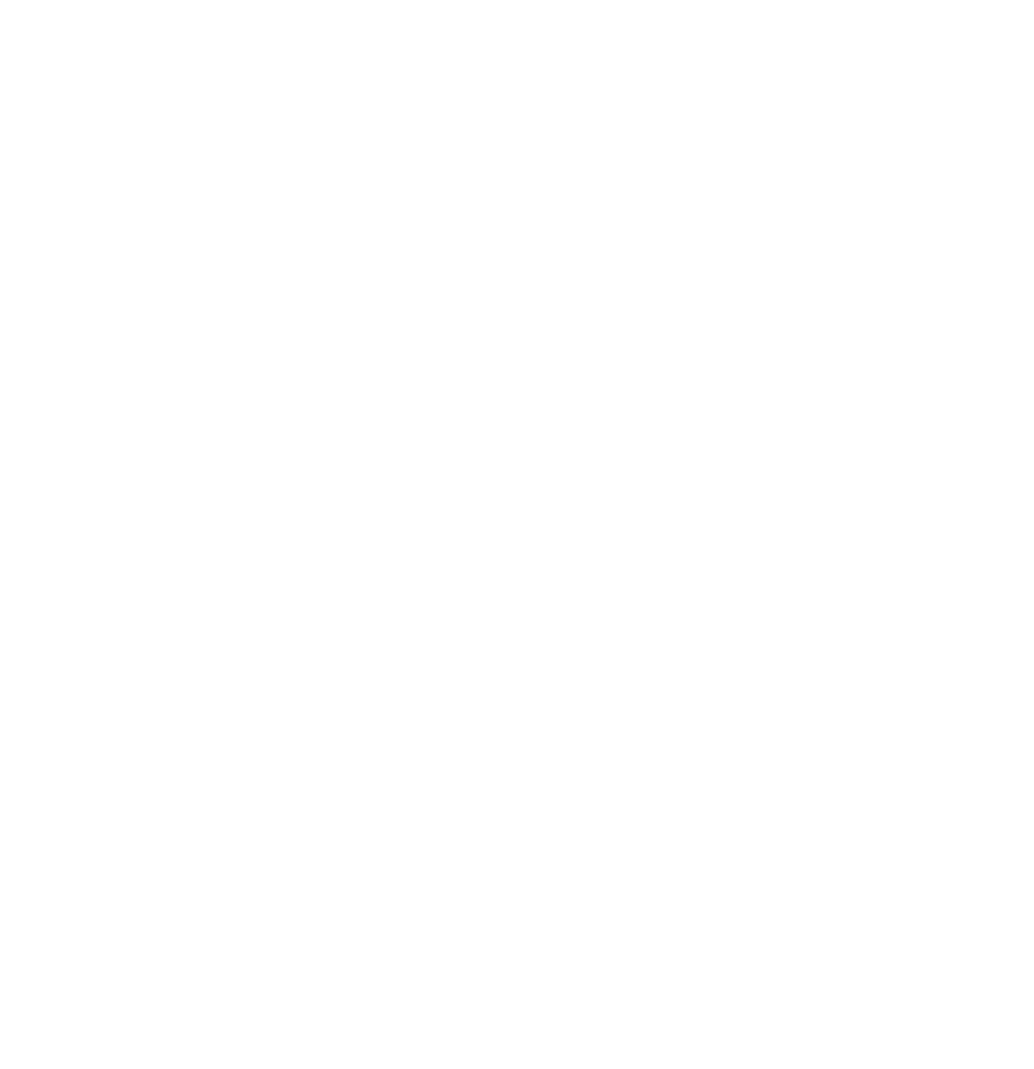 Stone Skipper Sound