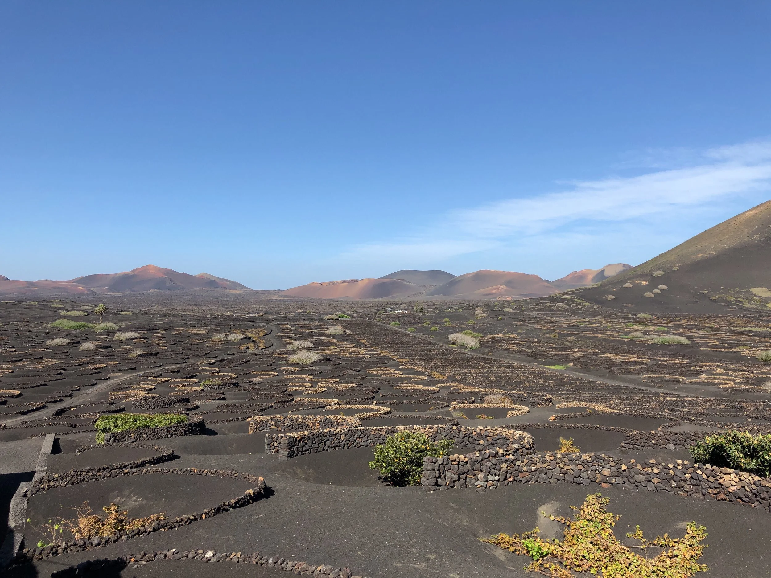 Arrecife, Canary Island tour