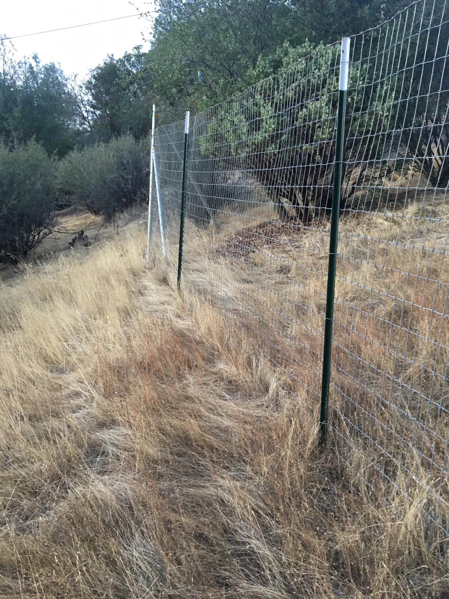 RG raw fence line2.jpg