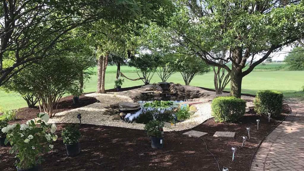 landscaping_pond_trees_erosion.jpg